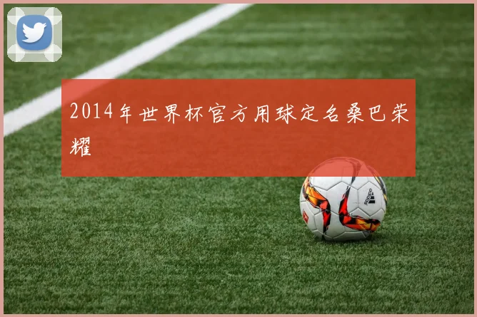2014年世界杯官方用球定名桑巴荣耀